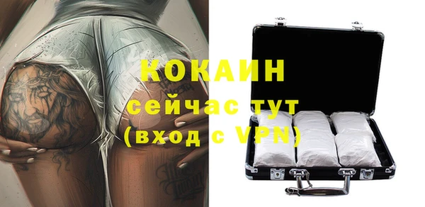 крисы Баксан