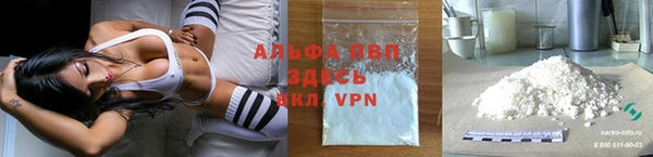 крисы Баксан