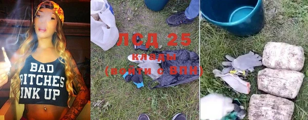 крисы Баксан