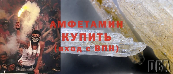крисы Баксан