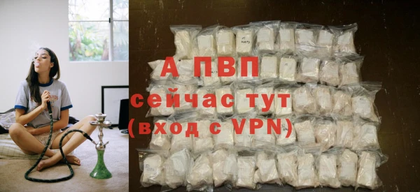 крисы Баксан