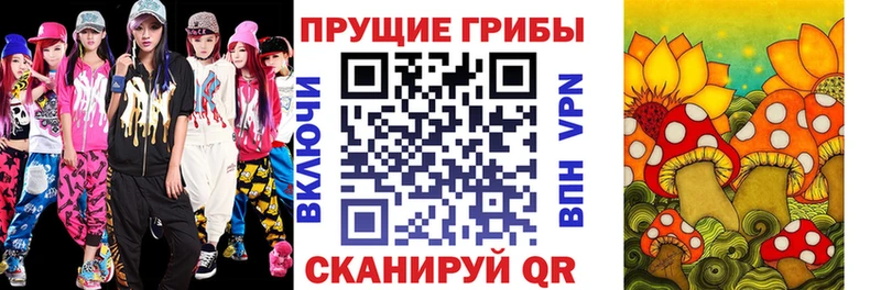Галлюциногенные грибы Psilocybe  MEGA ССЫЛКА  Большой Камень 