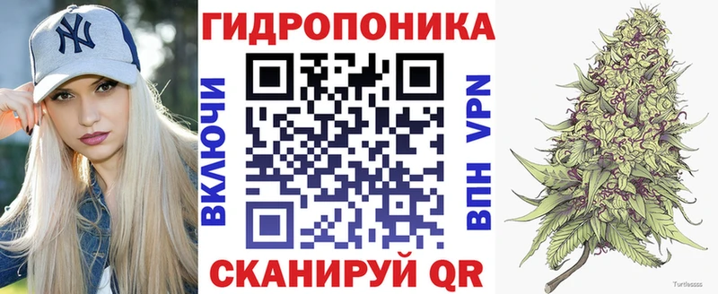 наркота  Большой Камень  mega зеркало  Шишки марихуана Amnesia 